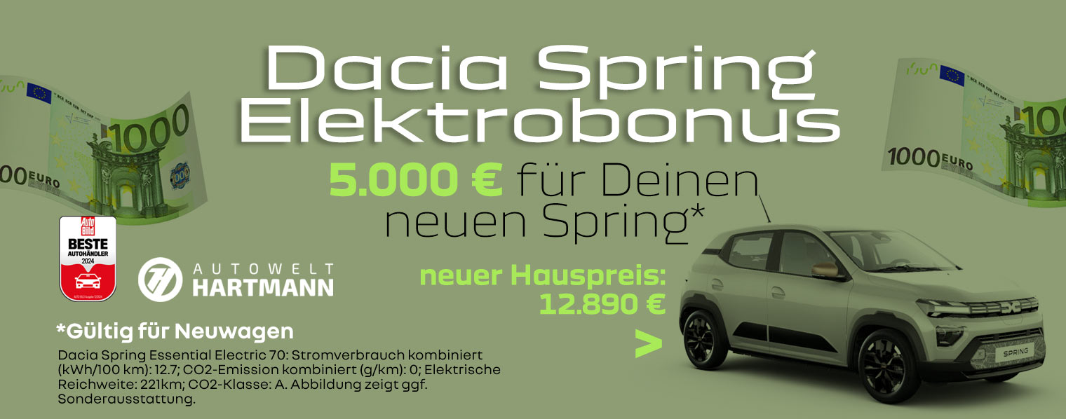 Dacia Spring mit Elektrobonus