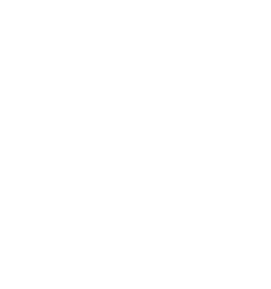 Renault bei Hartmann