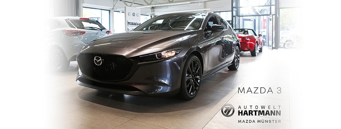 Der neue Marda 3 Homura Der neue Marda 3 Homura