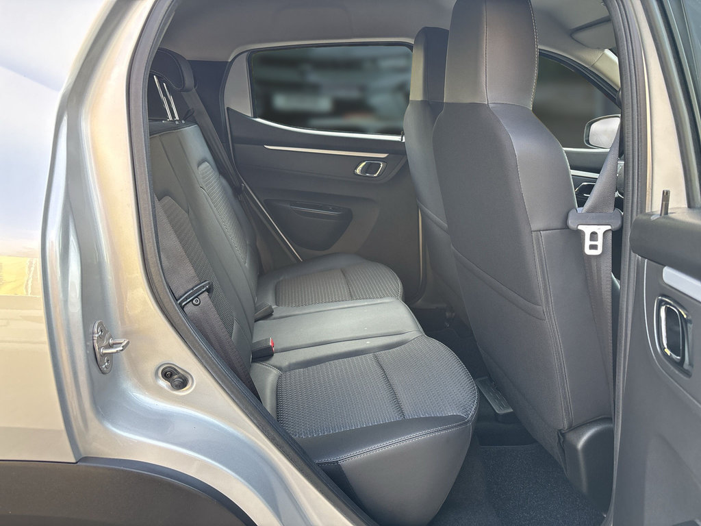 DACIA Spring Essential