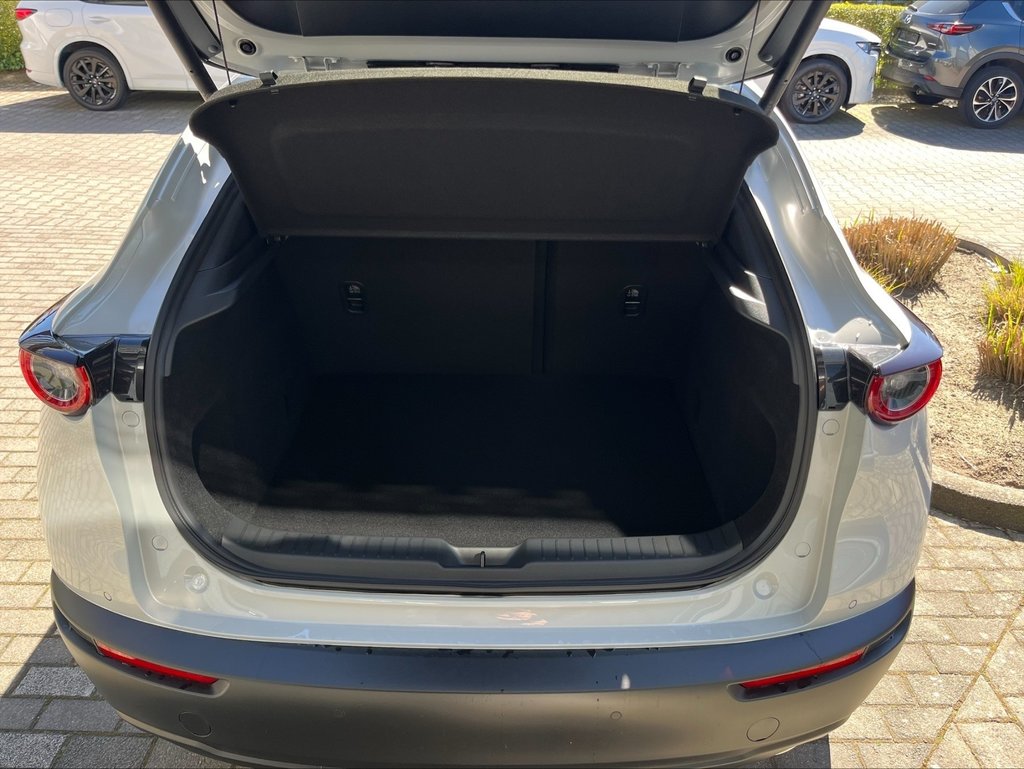 MAZDA CX-30 2.5L e-SKYACTIV G 140ps 6MT FWD Homura