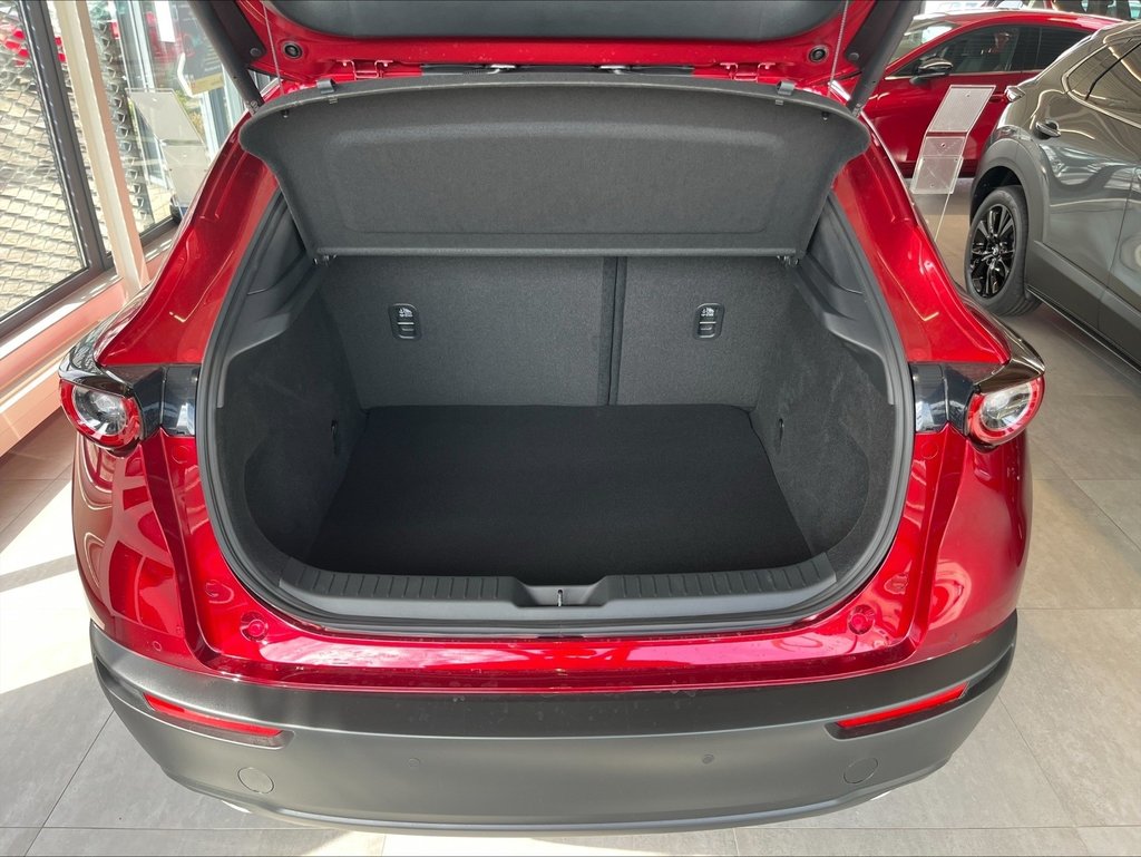 MAZDA CX-30 2.5L e-SKYACTIV G 140ps 6MT FWD Homura