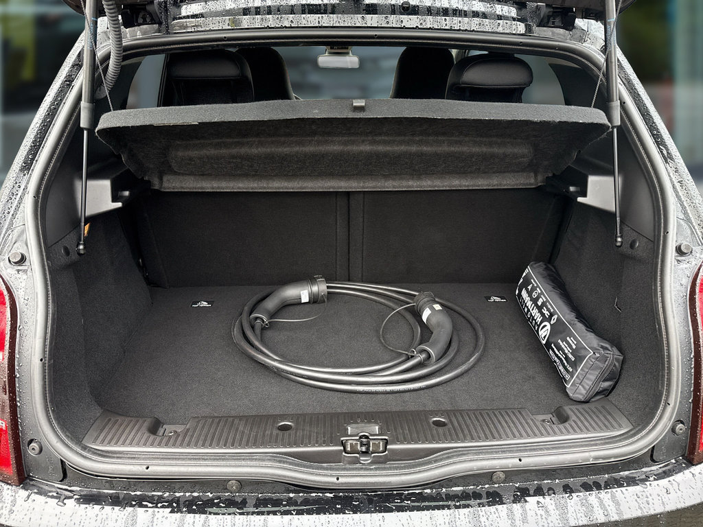 RENAULT Twingo III TWINGO E-Tech 100% elektrisch