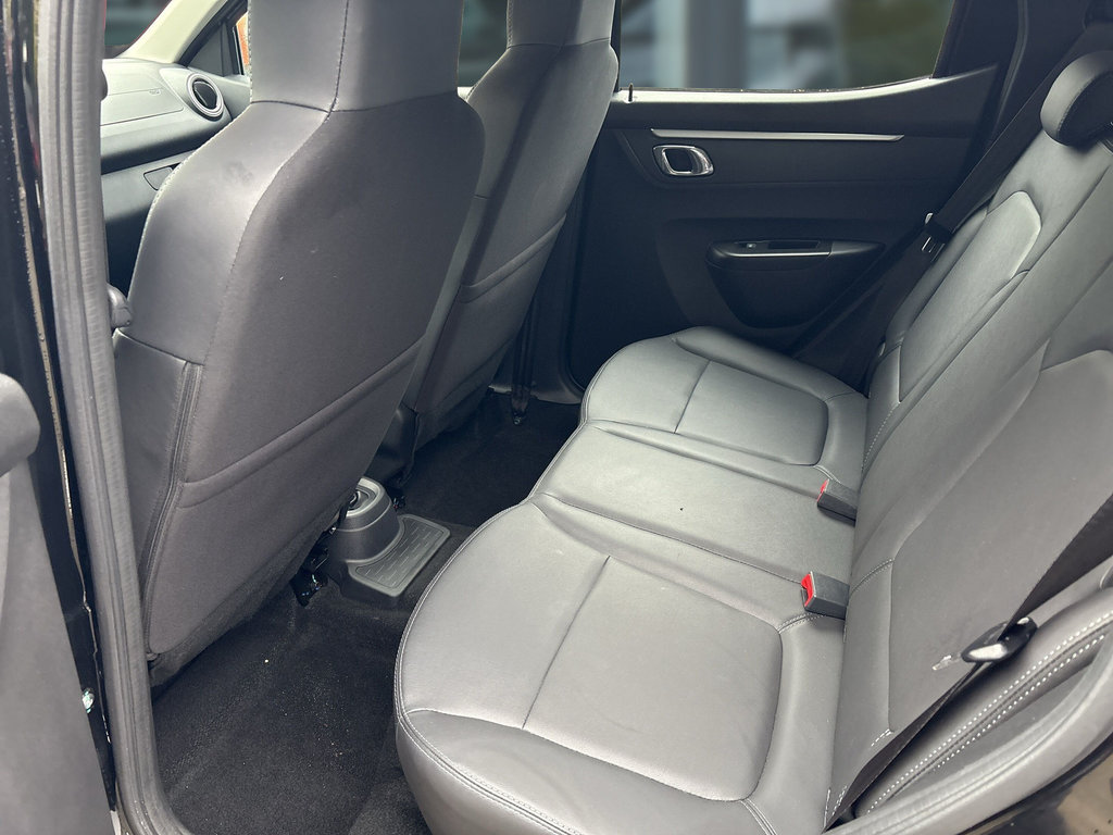 DACIA Spring Essential