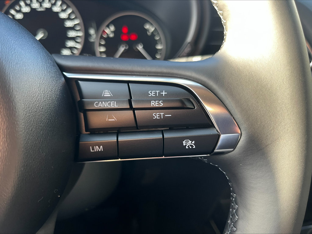 MAZDA CX-30 2.5L e-SKYACTIV G 140ps 6AT FWD Homura MAZDA CX-30 2.5L e-SKYACTIV G 140ps 6AT FWD Homura