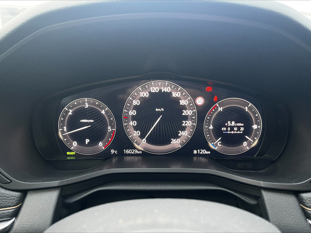 MAZDA CX-60 e-SKYACTIV-D 254 Homura AWD BOSE MATRIX