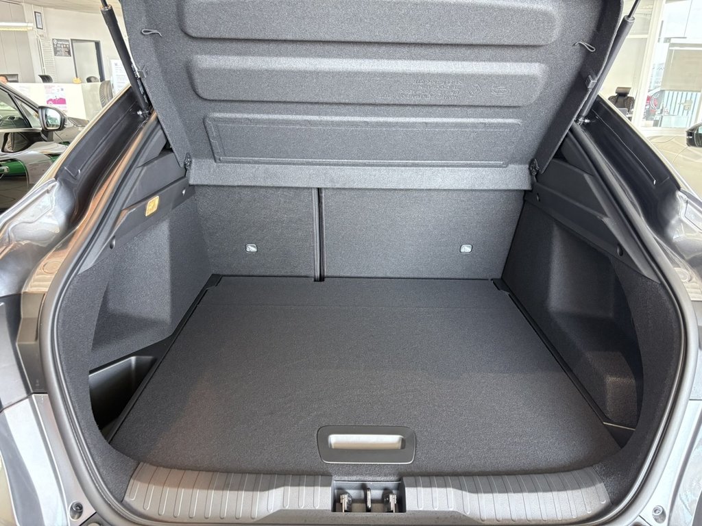 RENAULT Arkana ESPRIT ALPINE Mild Hybrid 160 EDC RENAULT Arkana ESPRIT ALPINE Mild Hybrid 160 EDC