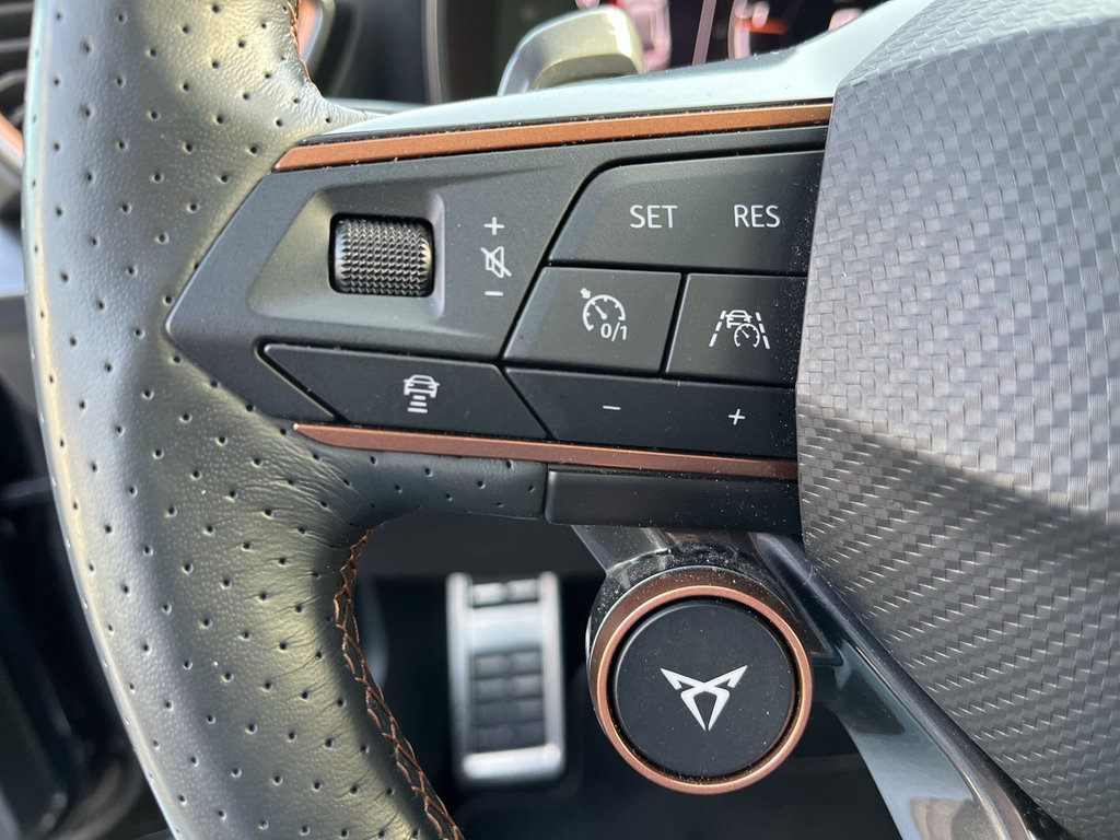 CUPRA Formentor VZ 2.0 TSI 4Drive Pano-Dach, Brembo