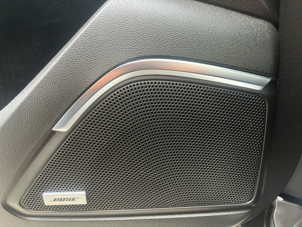 RENAULT Koleos Initiale Paris 2.0 Dci 4x4 Bose,Pano-Dach