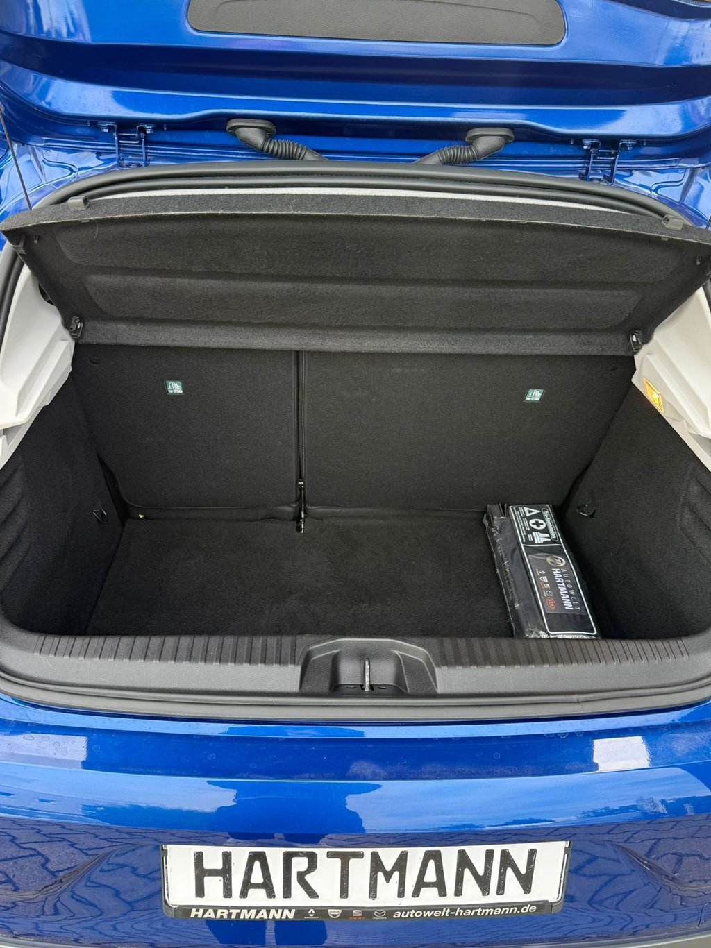 RENAULT Clio R.S.-LINE EDITION