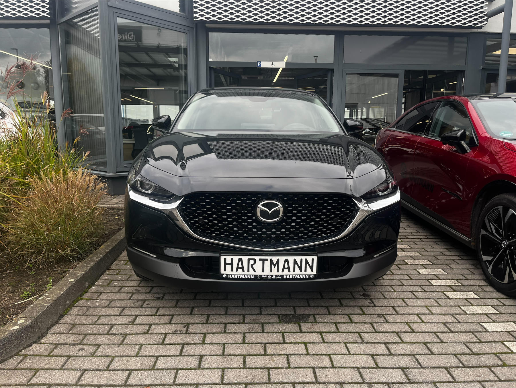 MAZDA CX-30 2.5L e-SKYACTIV G 140ps Exclusive-line AHK MAZDA CX-30 2.5L e-SKYACTIV G 140ps Exclusive-line AHK