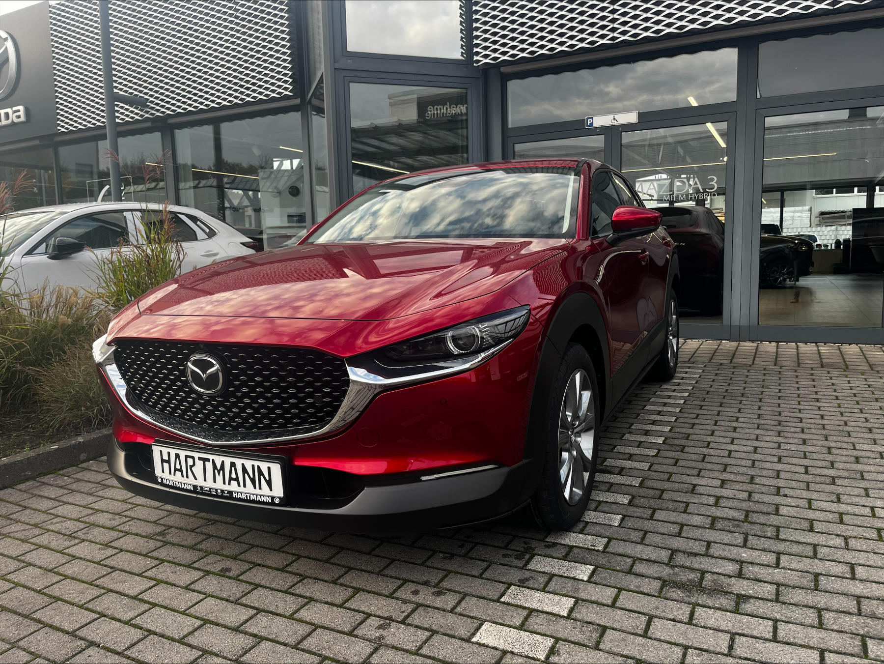 MAZDA CX-30 2.5L e-SKYACTIV G 140ps Exclusive-line AHK MAZDA CX-30 2.5L e-SKYACTIV G 140ps Exclusive-line AHK