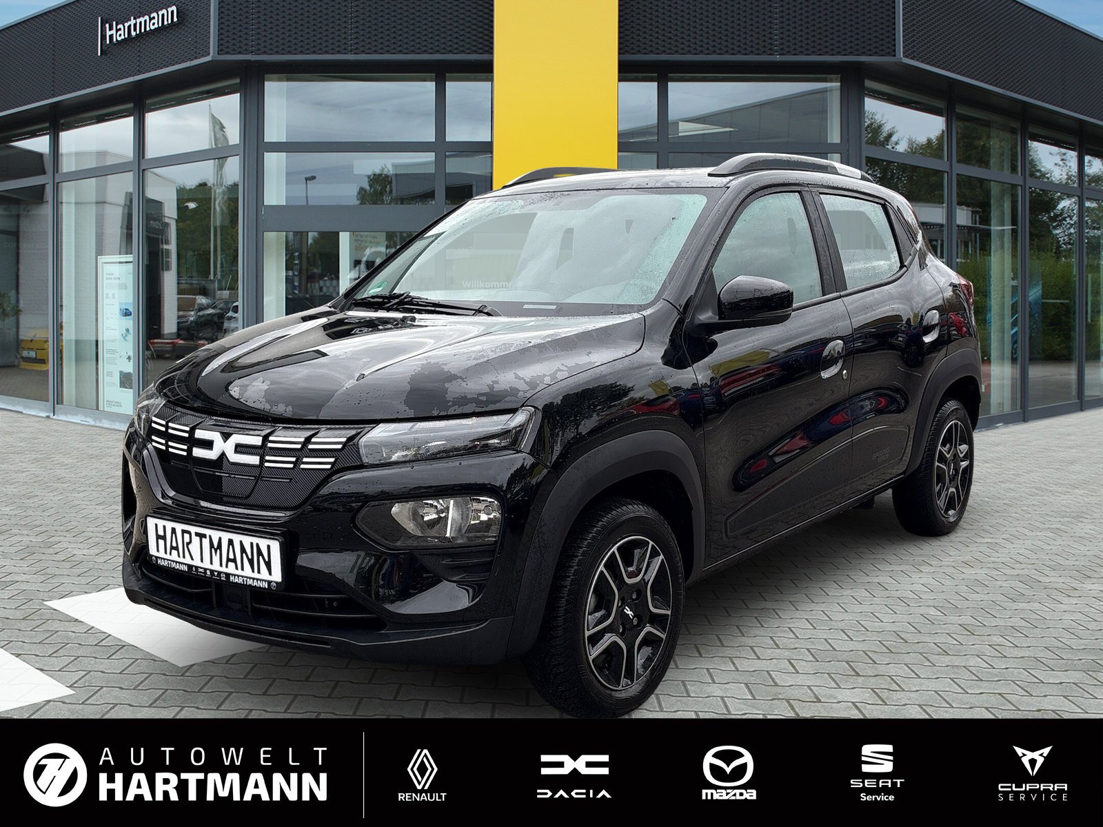 DACIA Spring Essential