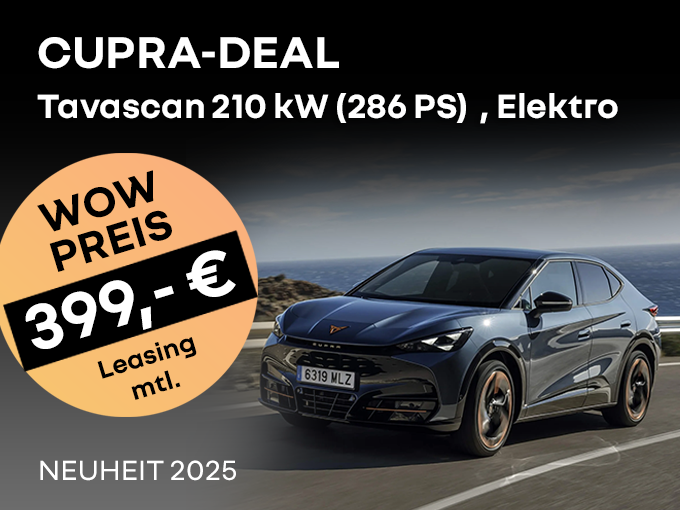 Cupra Tavascan Endurance 