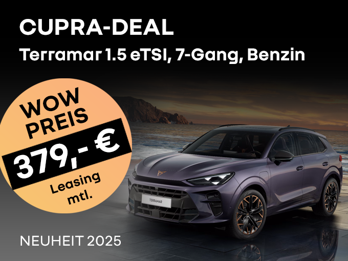 Cupra Terramar 1.5 eTSI 